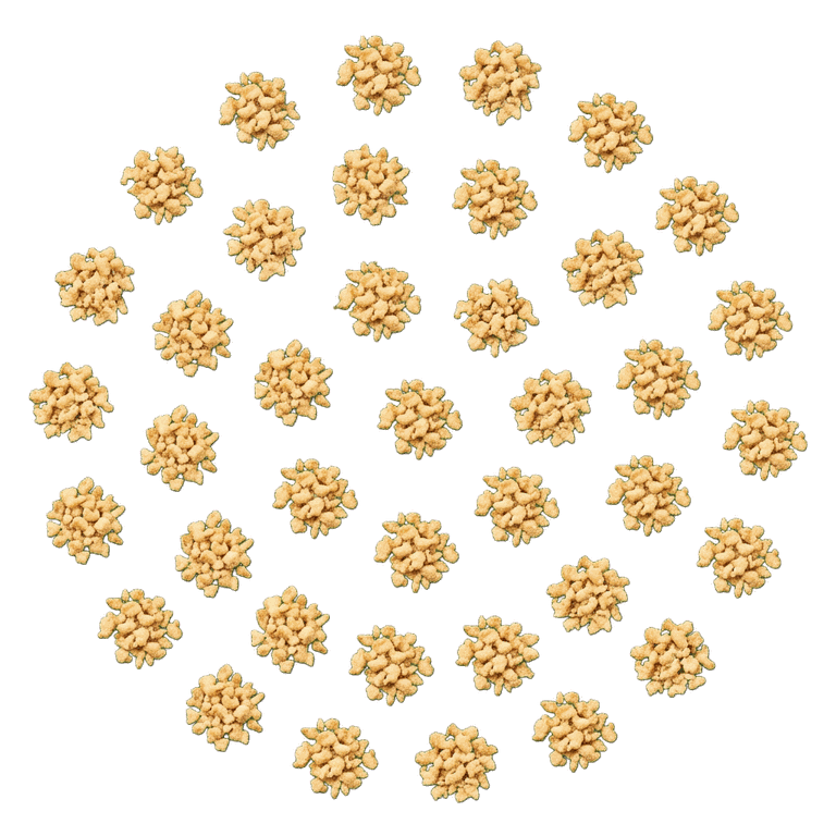 مرغ چرخی